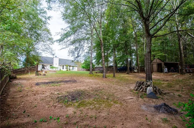 a view of a tree in the middle of a yard