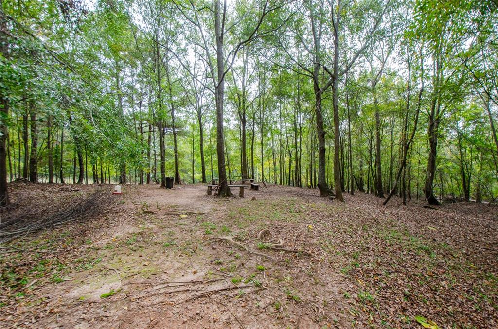 722 Moonlite Trace Winder, GA 30680 - Photo 38 of 41 a view of outdoor space with trees