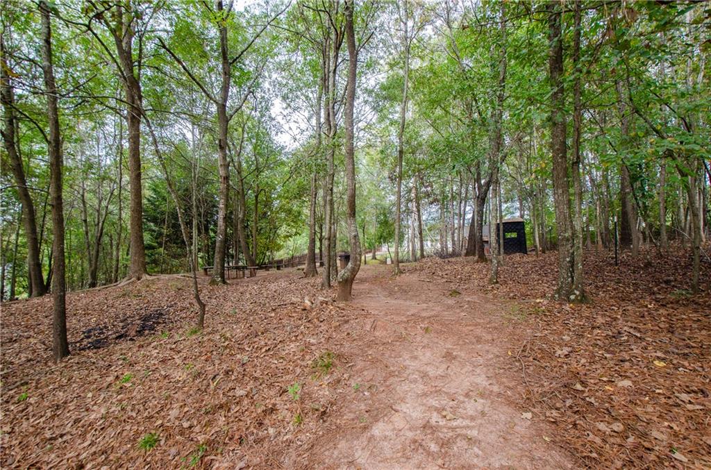 722 Moonlite Trace Winder, GA 30680 - Photo 40 of 41 a view of a forest filled with trees