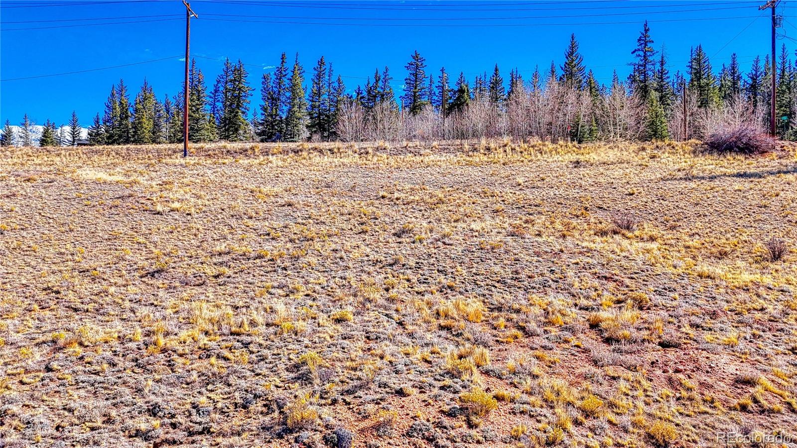 679 Apache Trail Como, CO 80456 - Photo 14 of 23 a view of a yard with trees