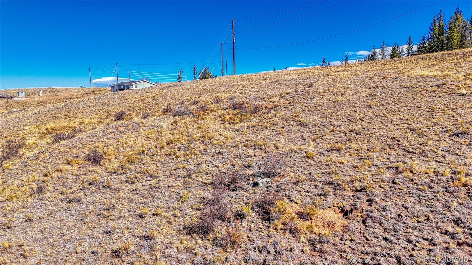 679 Apache Trail Como, CO 80456 - Photo 18 of 23 a view of a dry yard with a building in the background