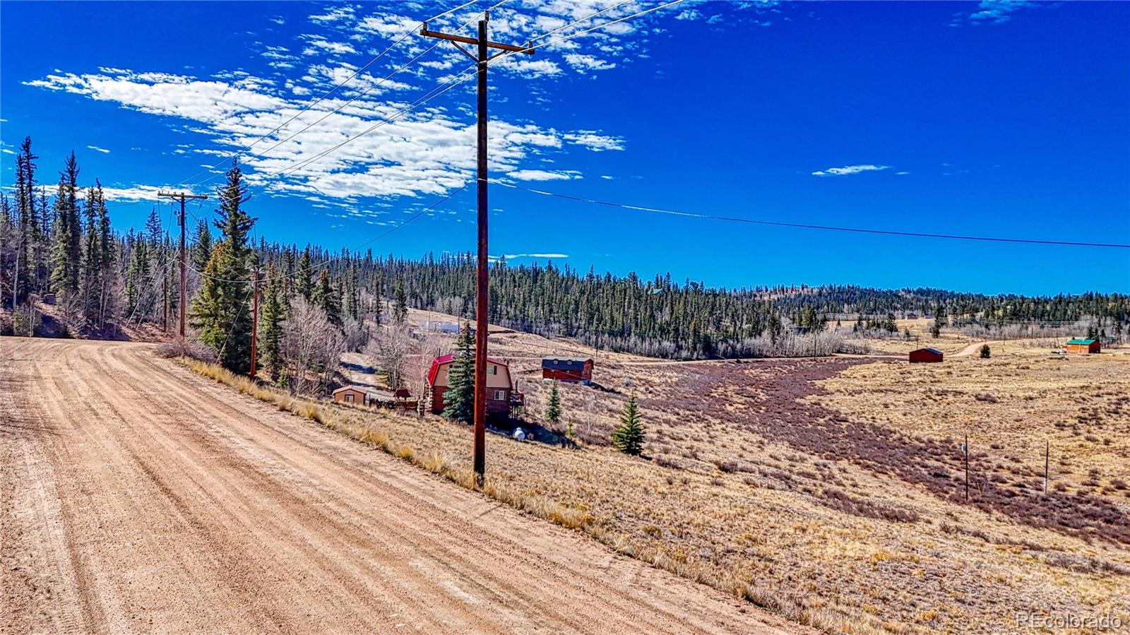679 Apache Trail Como, CO 80456 - Photo 20 of 23 a view of a yard with an tree