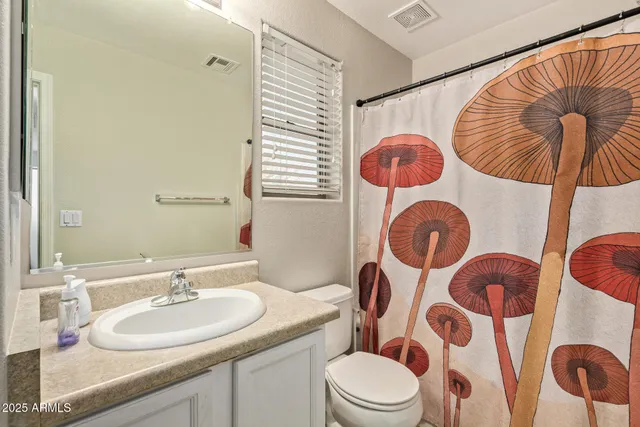 a bathroom with a sink mirror vanity and toilet
