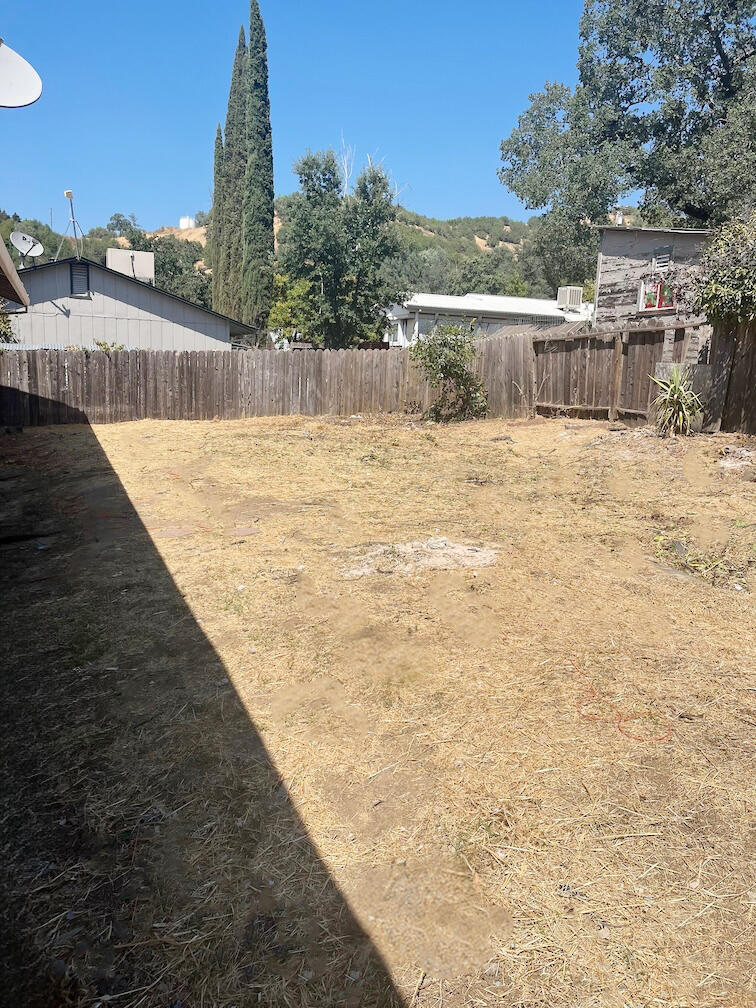 Backyard