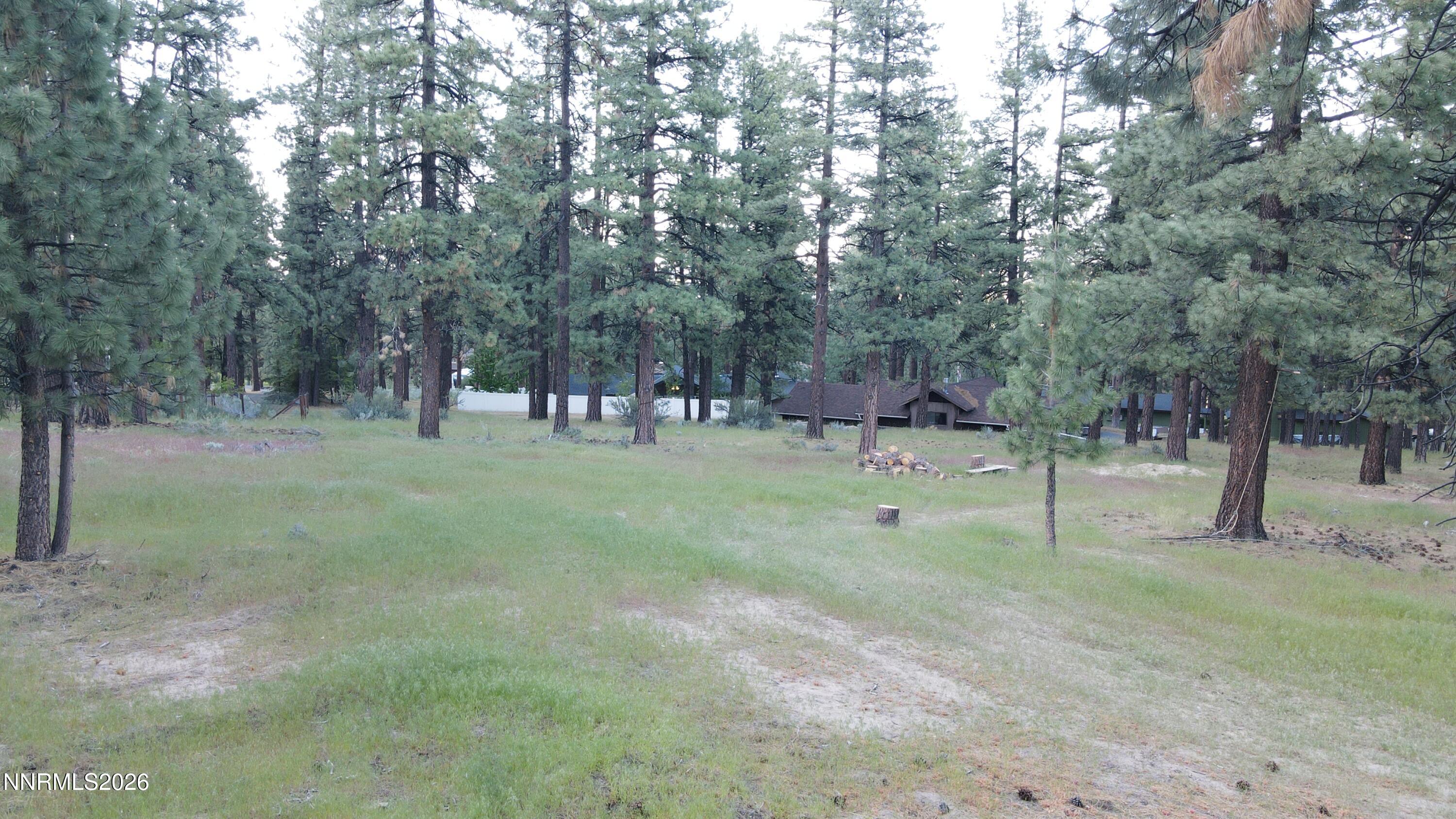 4300 Meadow Wood Road Carson City, NV 89703 - Photo 6 of 15 a view of a park with large trees