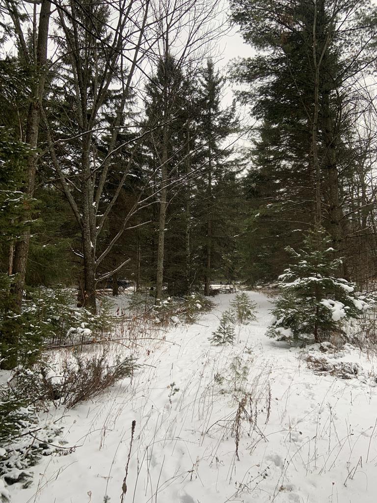Lot 43 Gibraltar Road Fish Creek, WI 54212 - Photo 16 of 18