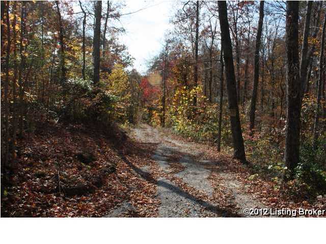 1504 Country Paradise Road Leitchfield, KY 42754 - Photo 7 of 24 Additional Photo