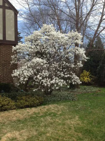 $1,400,000 | 4925 Grand Avenue, Western Springs, IL 60558