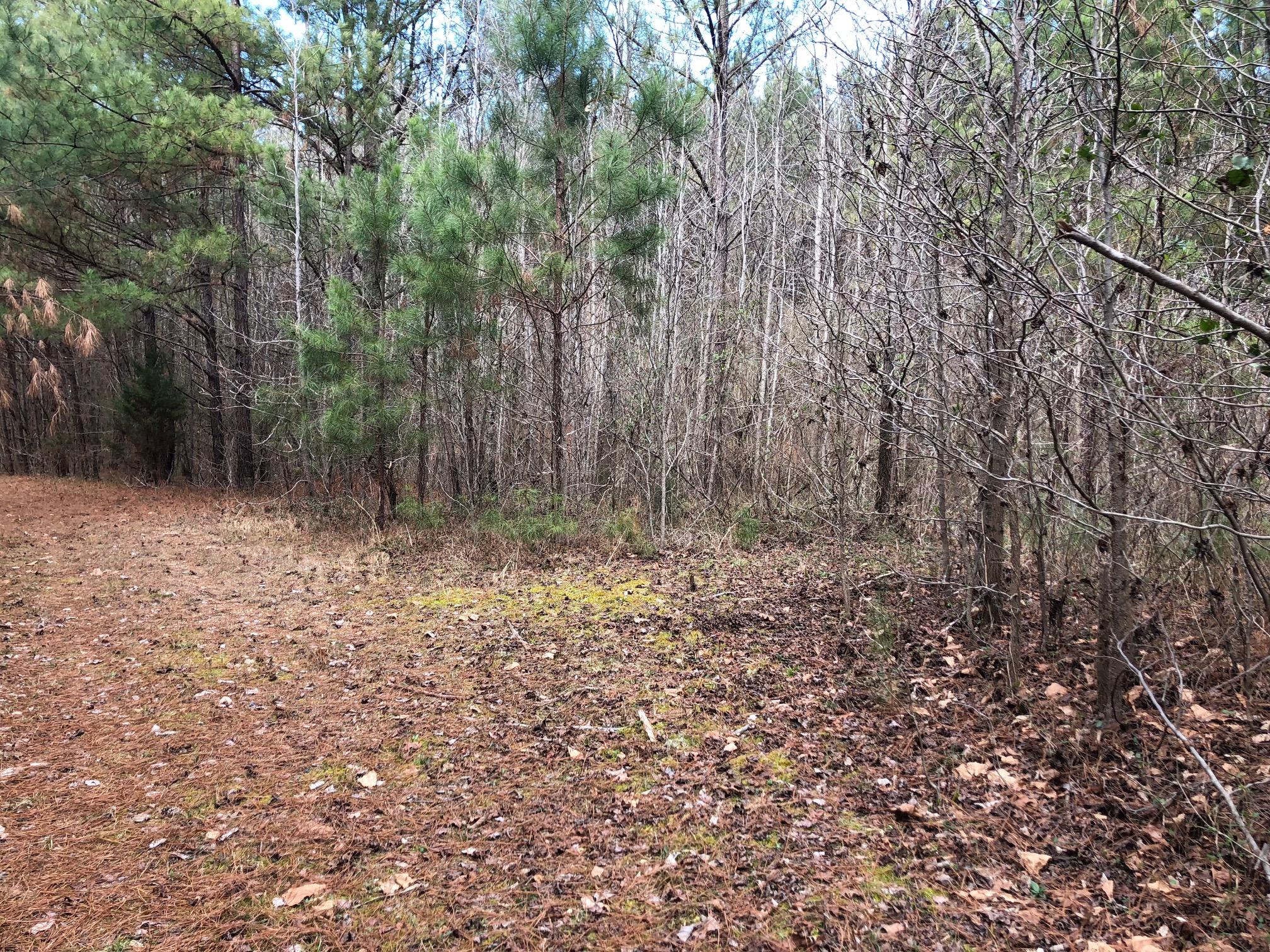 30.2 Blue Springs Road Cleveland, TN 37323 - Photo 8 of 15 IMG_1333