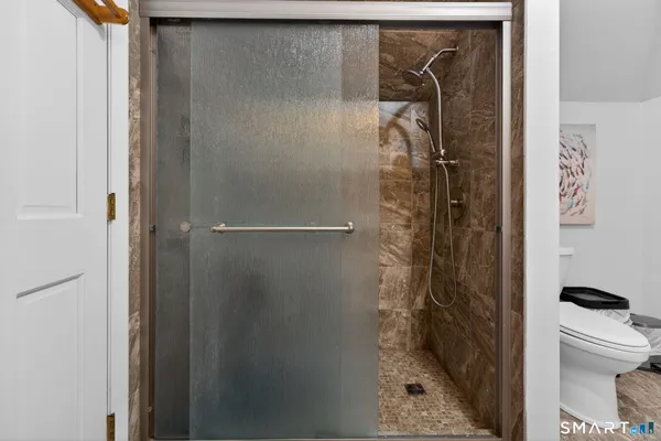 a bathroom with a shower and a toilet