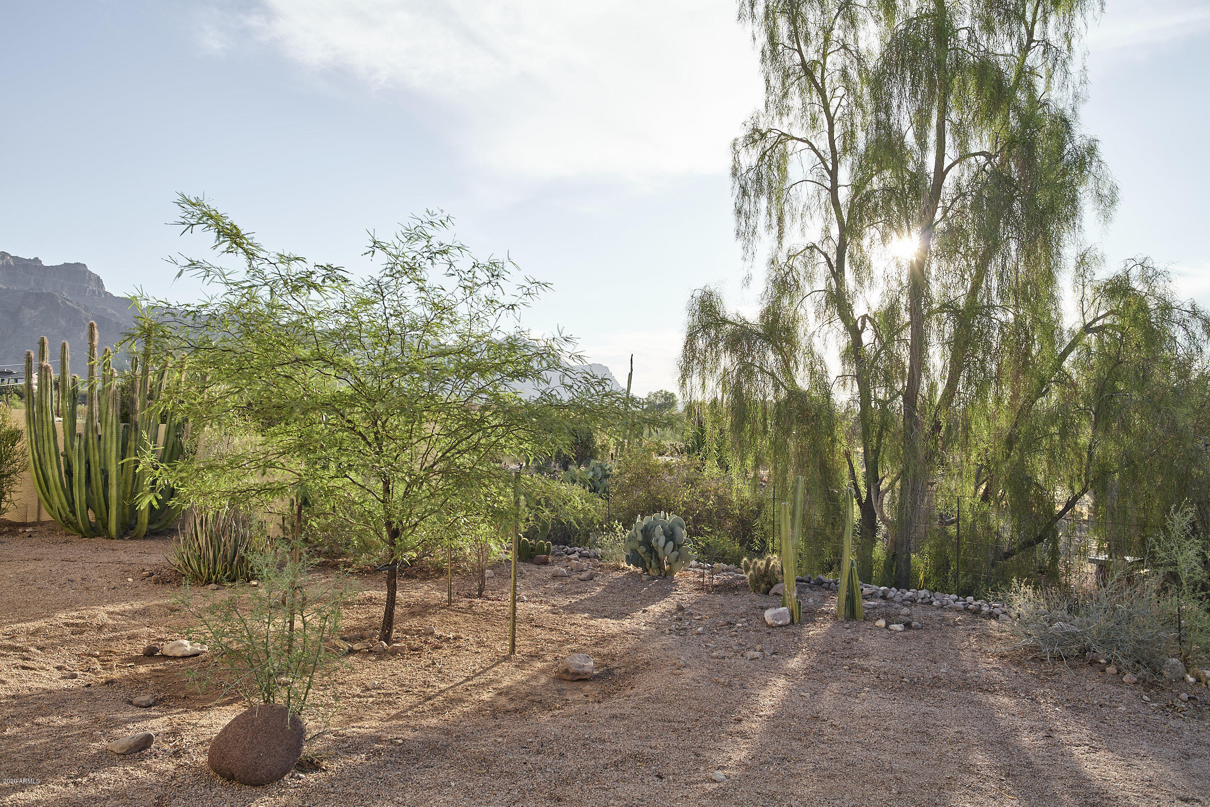 265 South Arroya Road Apache Junction, AZ 85119 - Photo 15 of 74 265 S Arroya Rd - 0021
