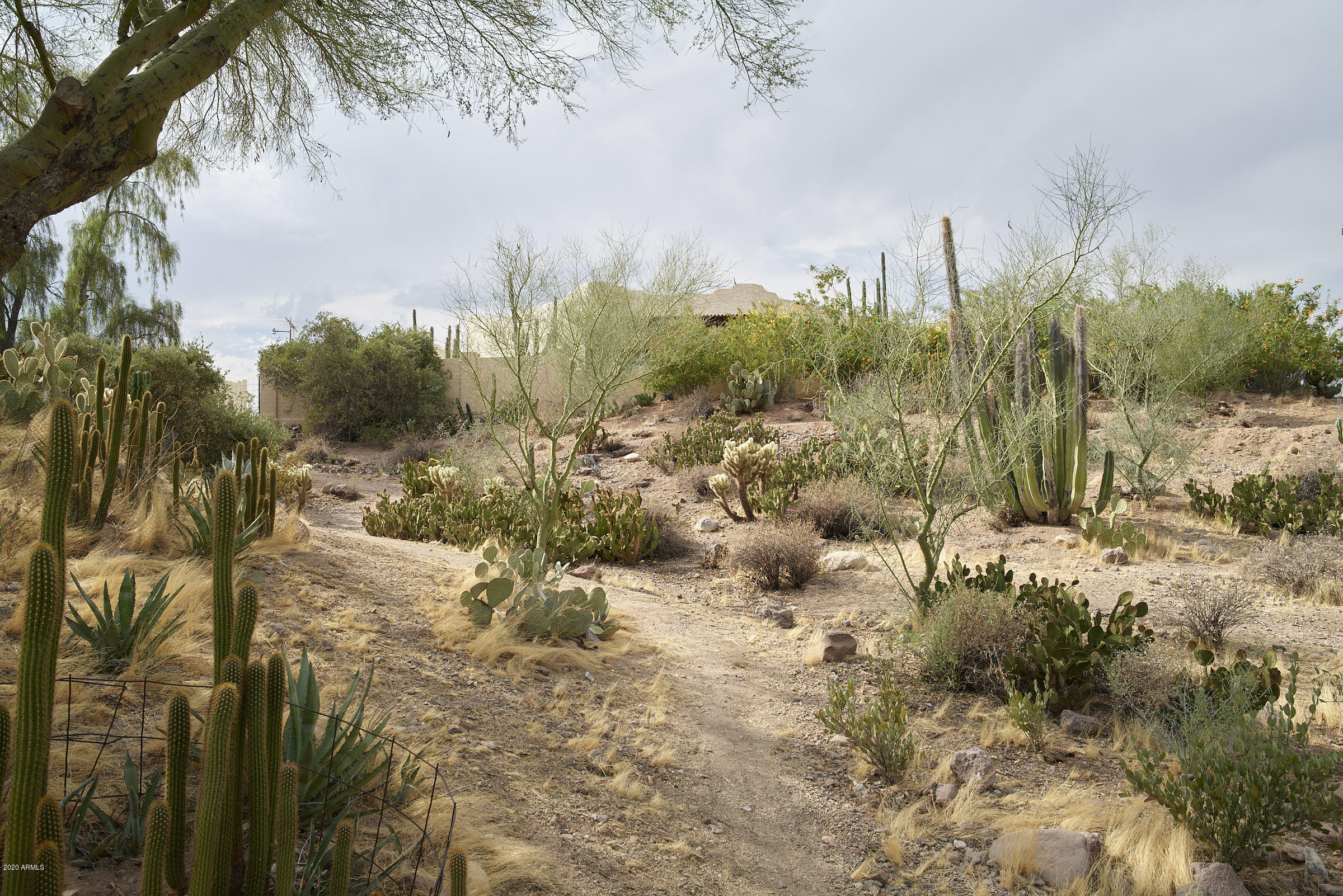 265 South Arroya Road Apache Junction, AZ 85119 - Photo 18 of 74 265 S Arroya Rd - 0125