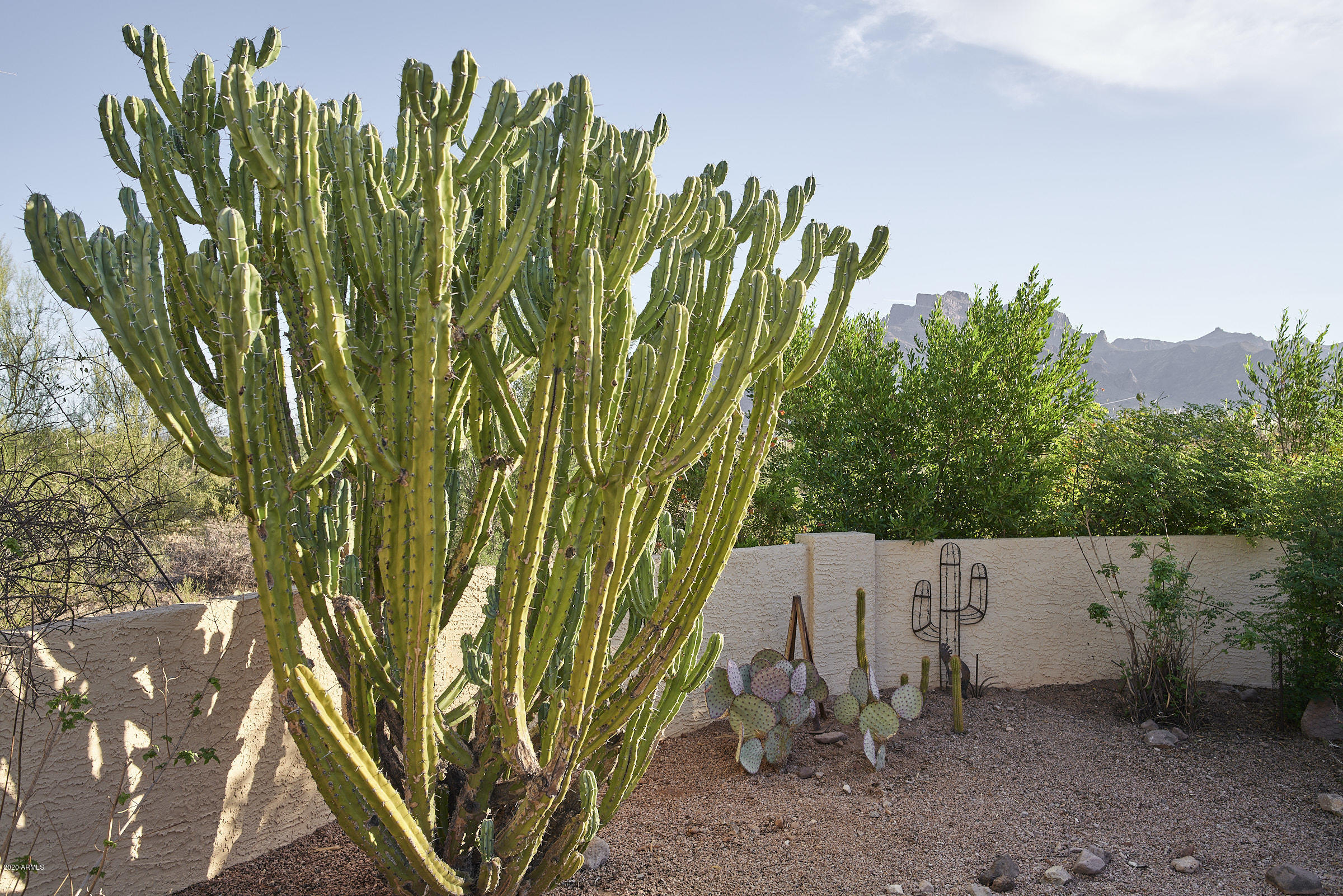 265 South Arroya Road Apache Junction, AZ 85119 - Photo 29 of 74 265 S Arroya Rd - 0032