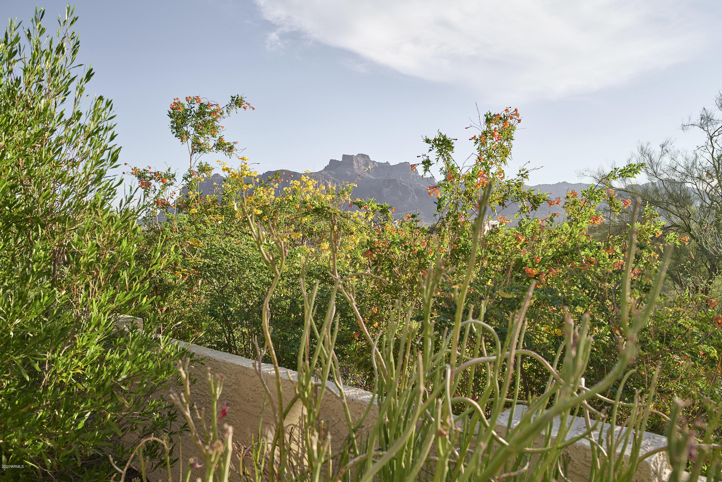 265 South Arroya Road Apache Junction, AZ 85119 - Photo 32 of 74 265 S Arroya Rd - 0036