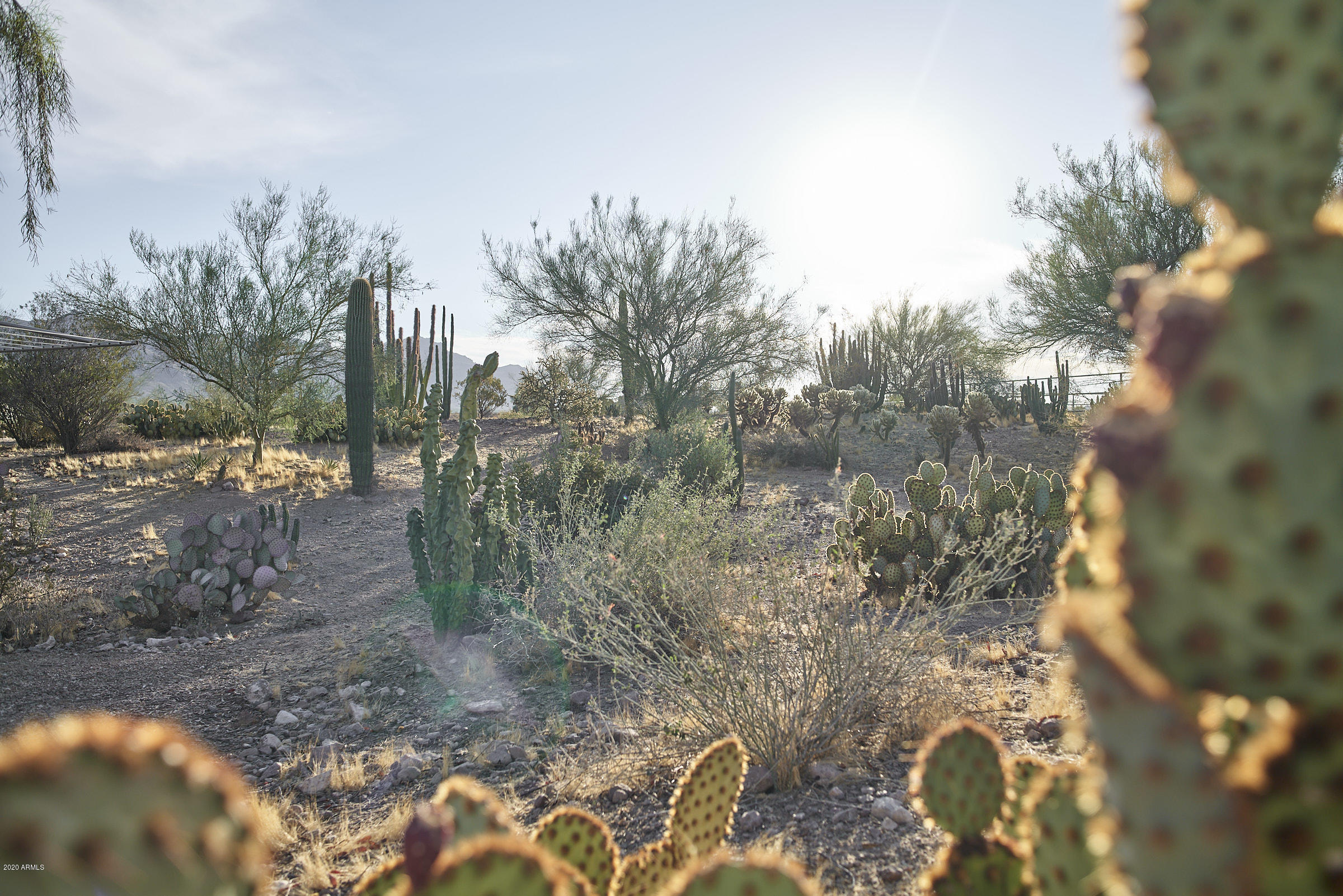 265 South Arroya Road Apache Junction, AZ 85119 - Photo 35 of 74 265 S Arroya Rd - 0041