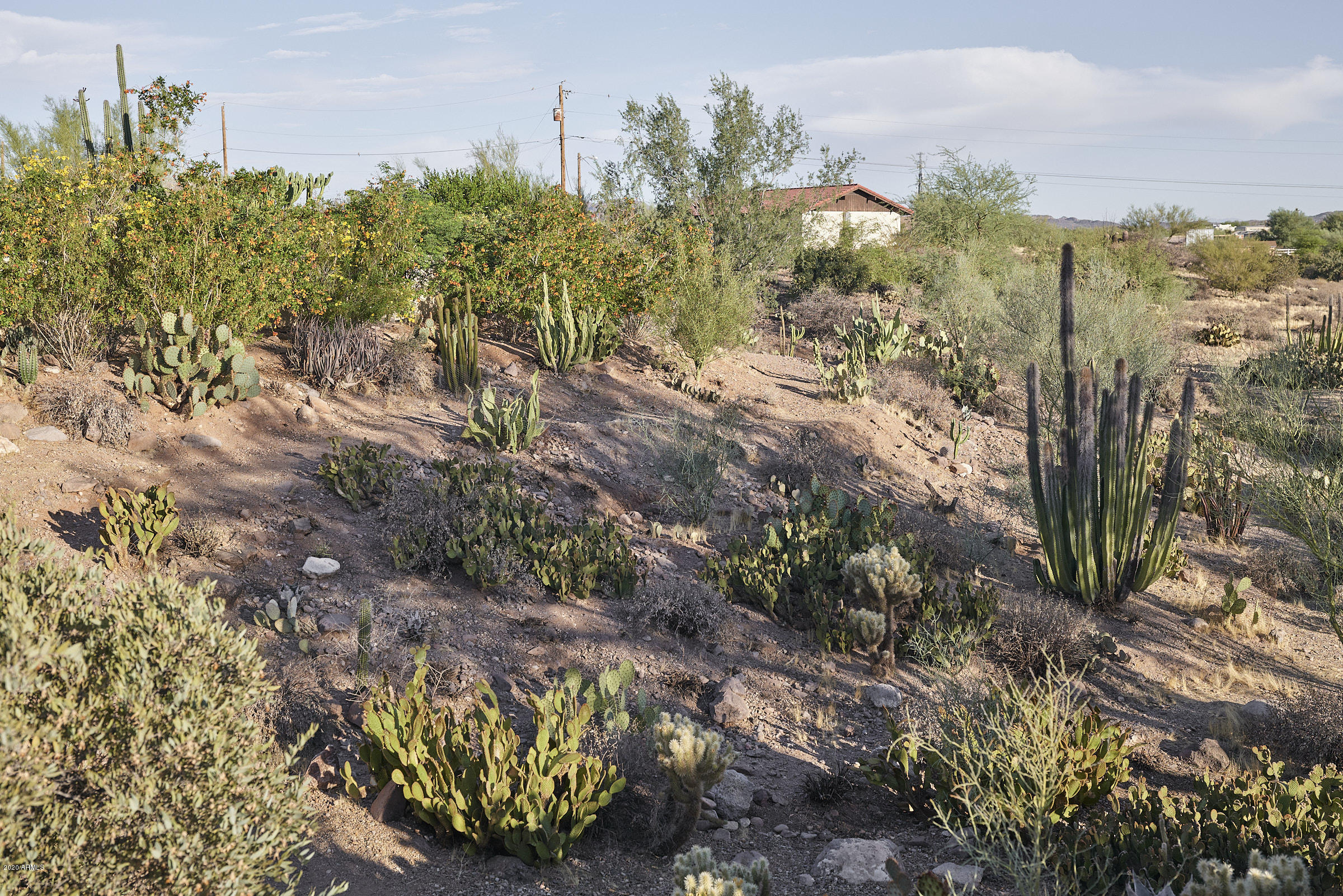 265 South Arroya Road Apache Junction, AZ 85119 - Photo 40 of 74 265 S Arroya Rd - 0050