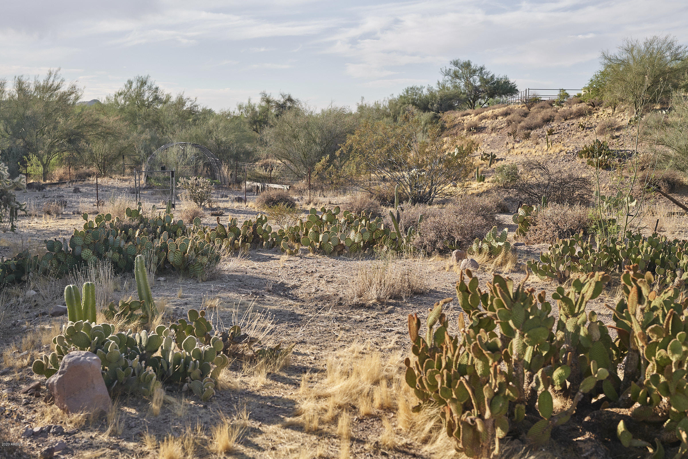 265 South Arroya Road Apache Junction, AZ 85119 - Photo 43 of 74 265 S Arroya Rd - 0057
