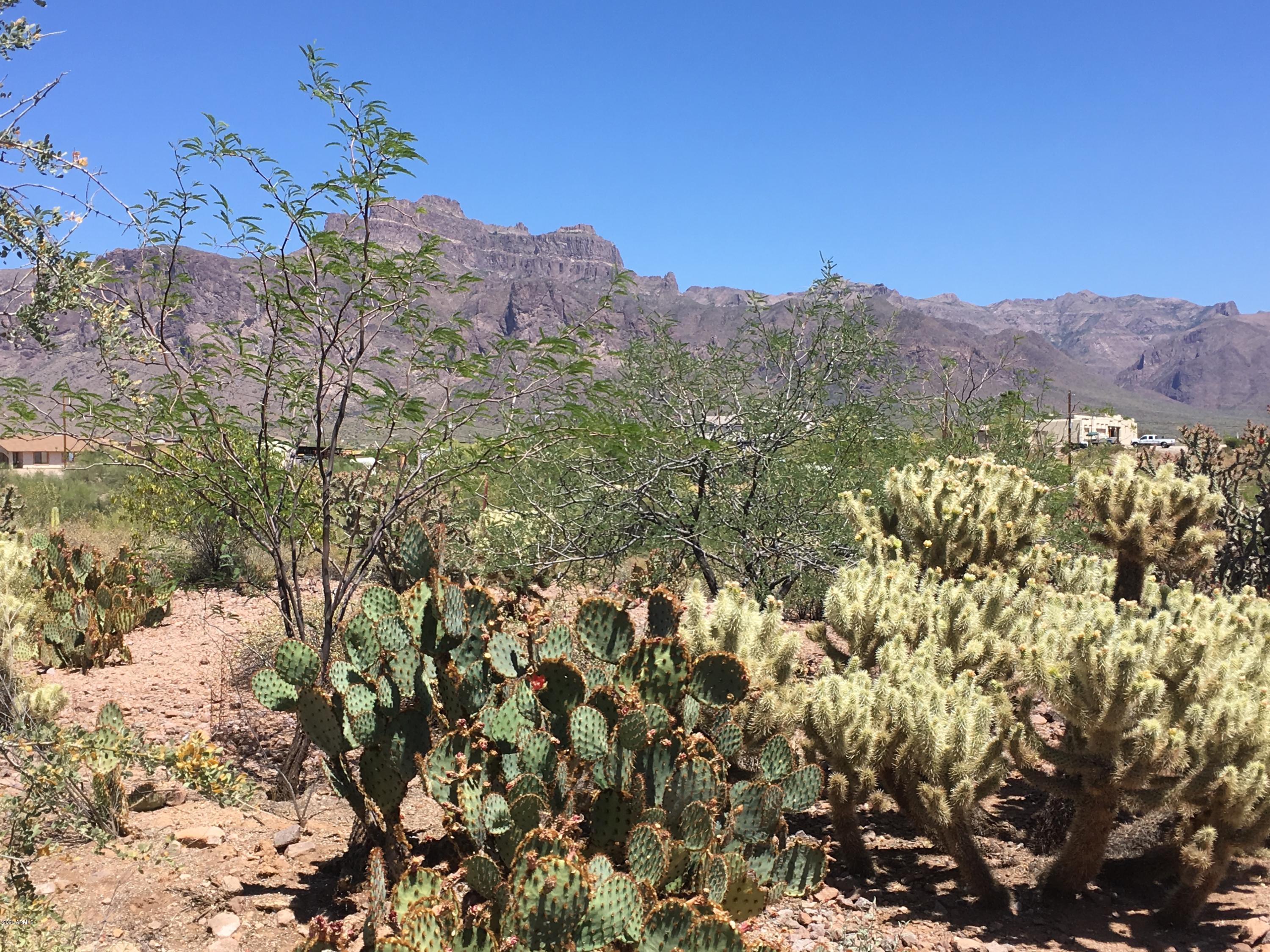 265 South Arroya Road Apache Junction, AZ 85119 - Photo 66 of 74 IMG_0713
