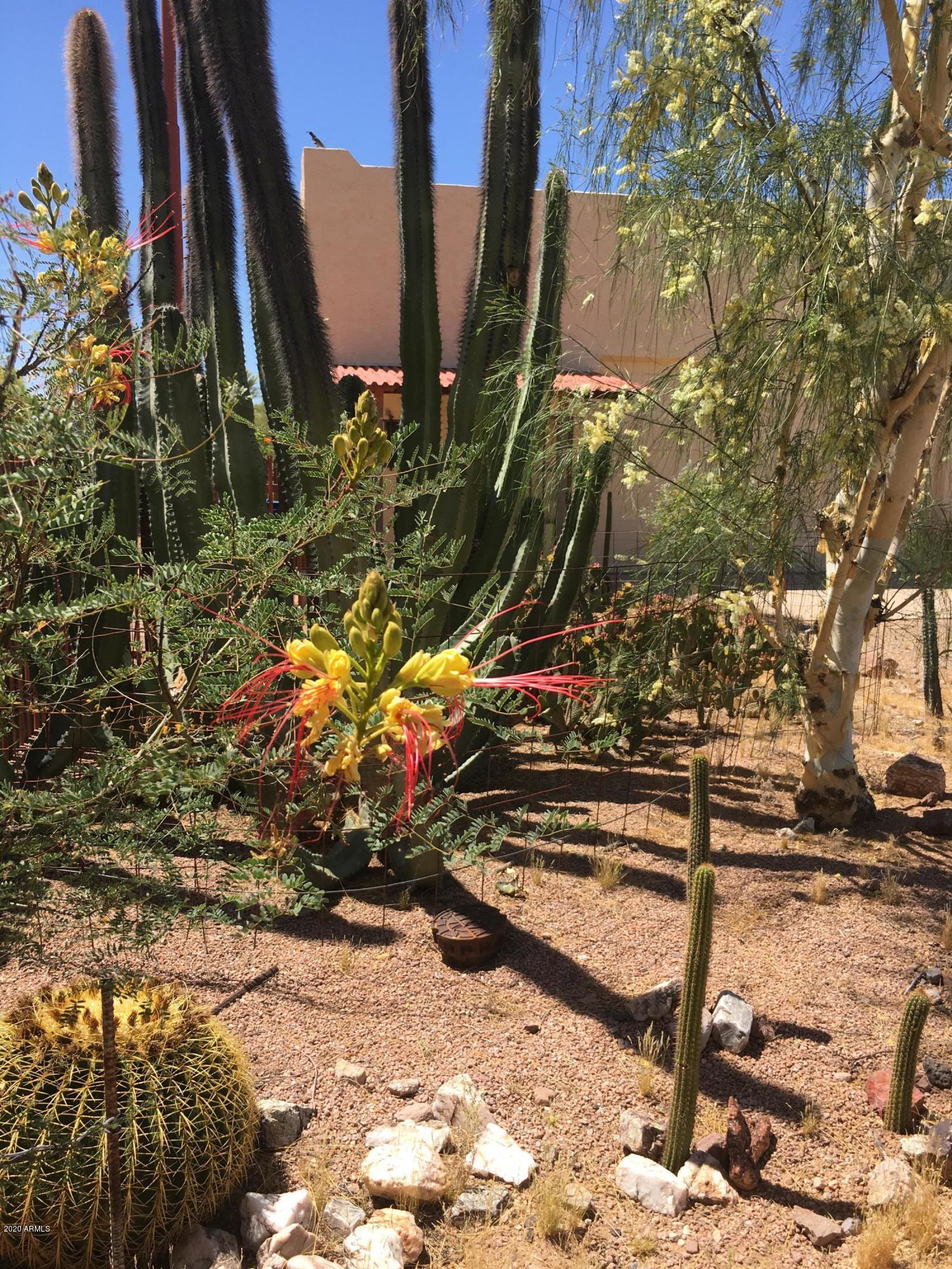 265 South Arroya Road Apache Junction, AZ 85119 - Photo 67 of 74 IMG_0432