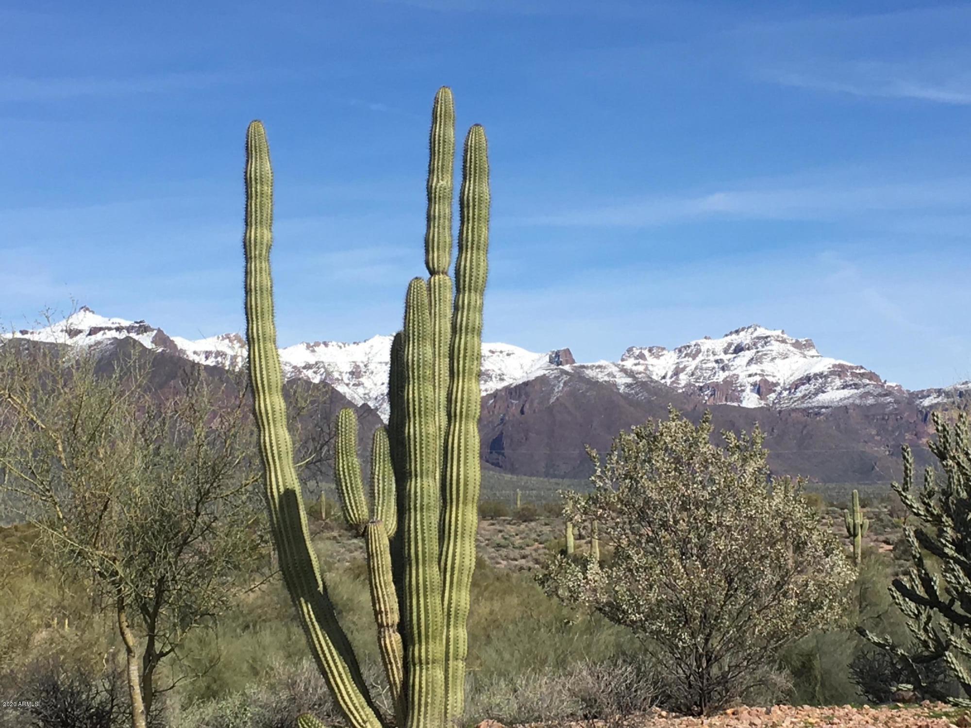 265 South Arroya Road Apache Junction, AZ 85119 - Photo 70 of 74 IMG_1686