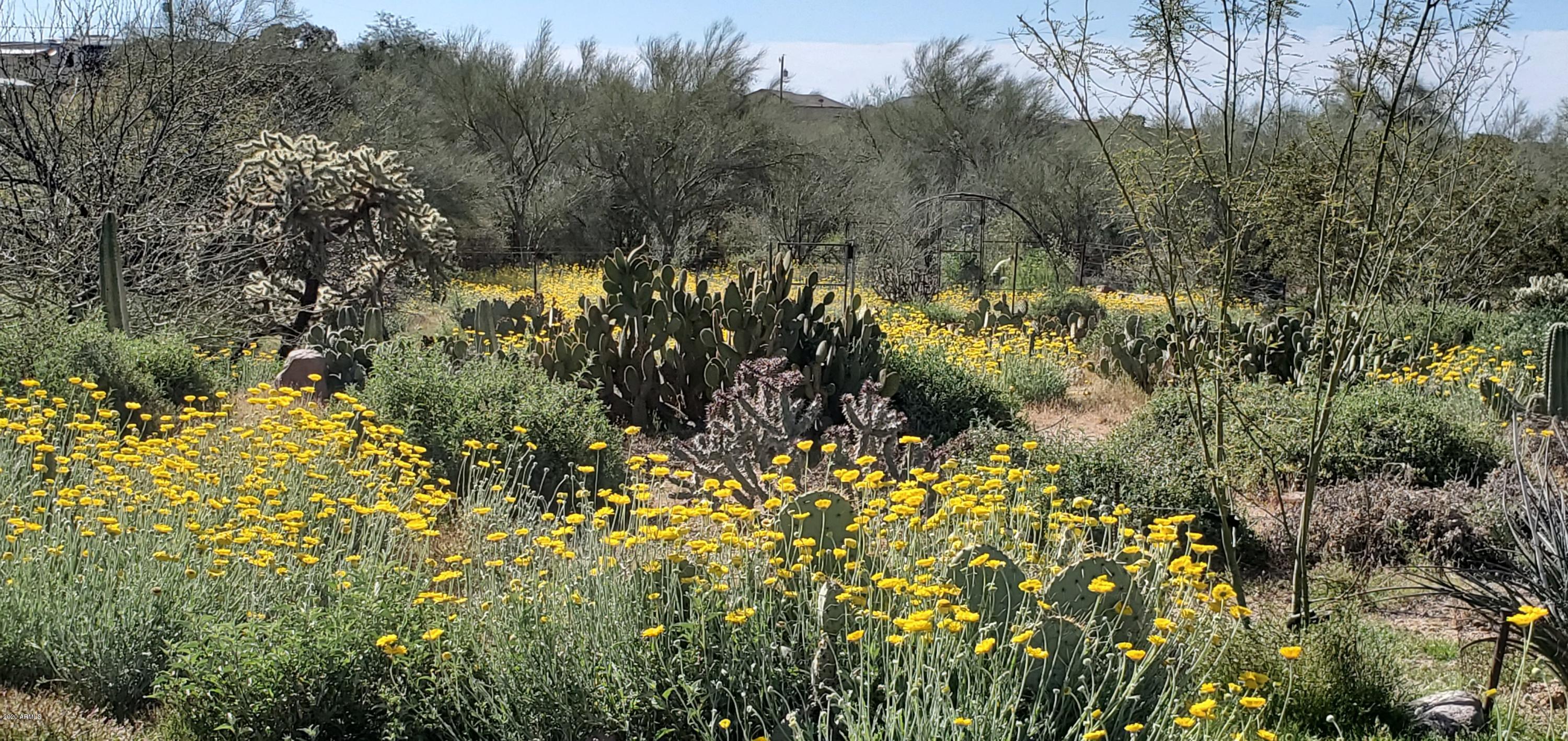 265 South Arroya Road Apache Junction, AZ 85119 - Photo 73 of 74 20200329_091831