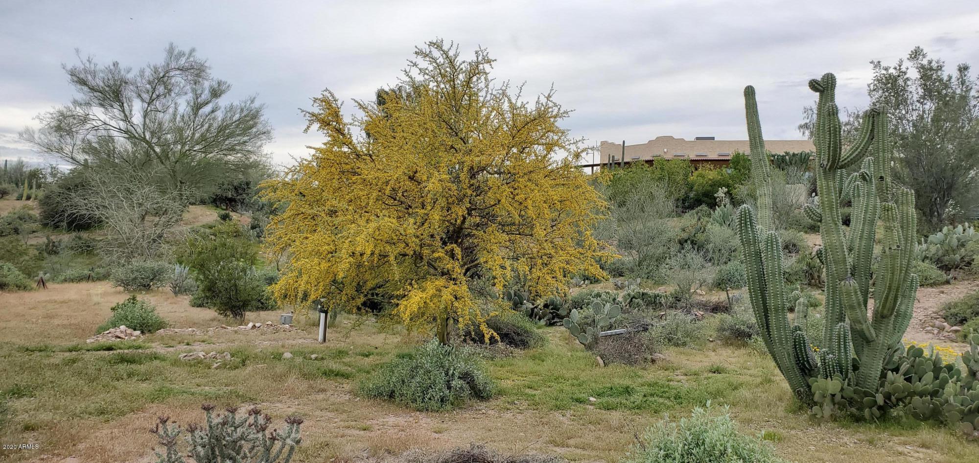 265 South Arroya Road Apache Junction, AZ 85119 - Photo 74 of 74 20200325_173506