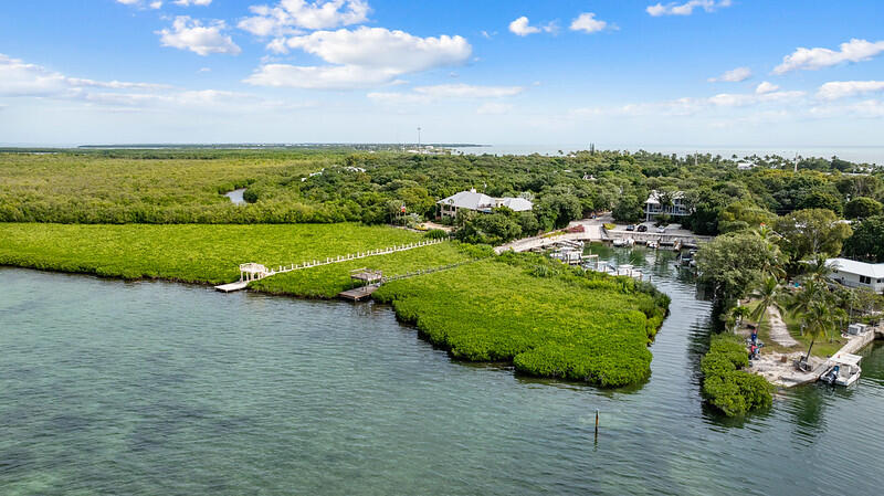 29 Flamingo Hammock Road Islamorada, FL 33036 - Photo 6 of 9 DJI_20240104112923_0543_D-L