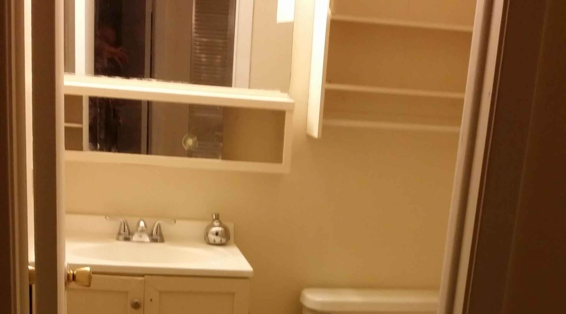 1854 Jamestown Circle Hoffman Estates, IL 60169 - Photo 2 of 10 a bathroom with a sink and a mirror