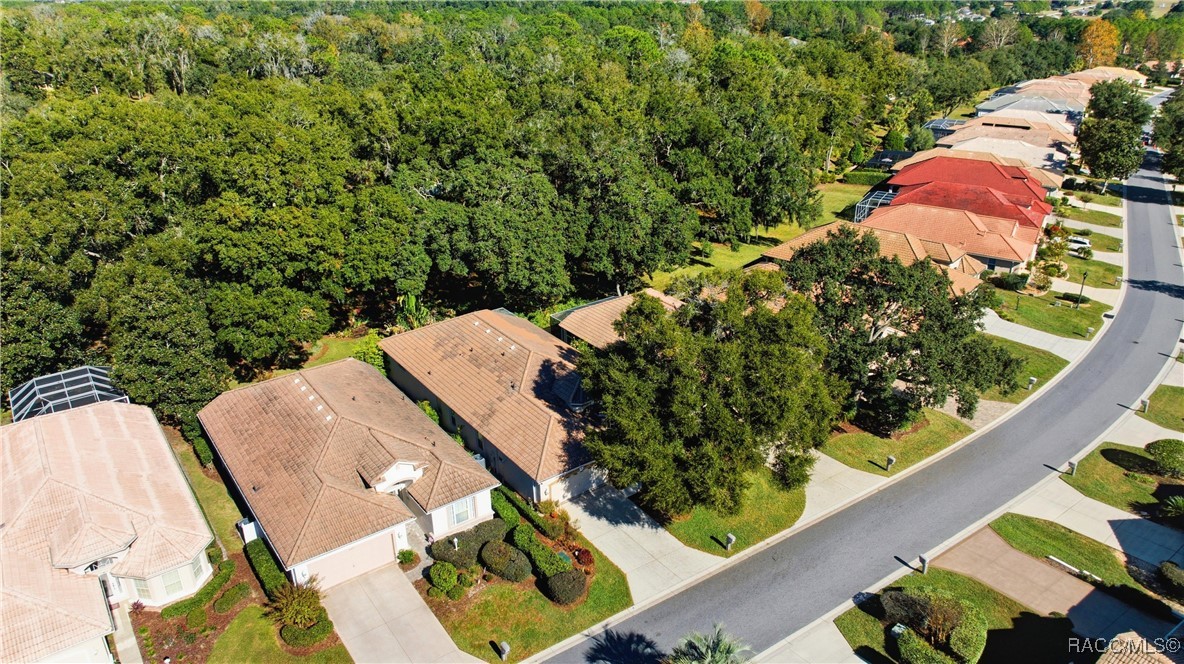 389 West Doerr Path Hernando, FL 34442 - Photo 59 of 84
