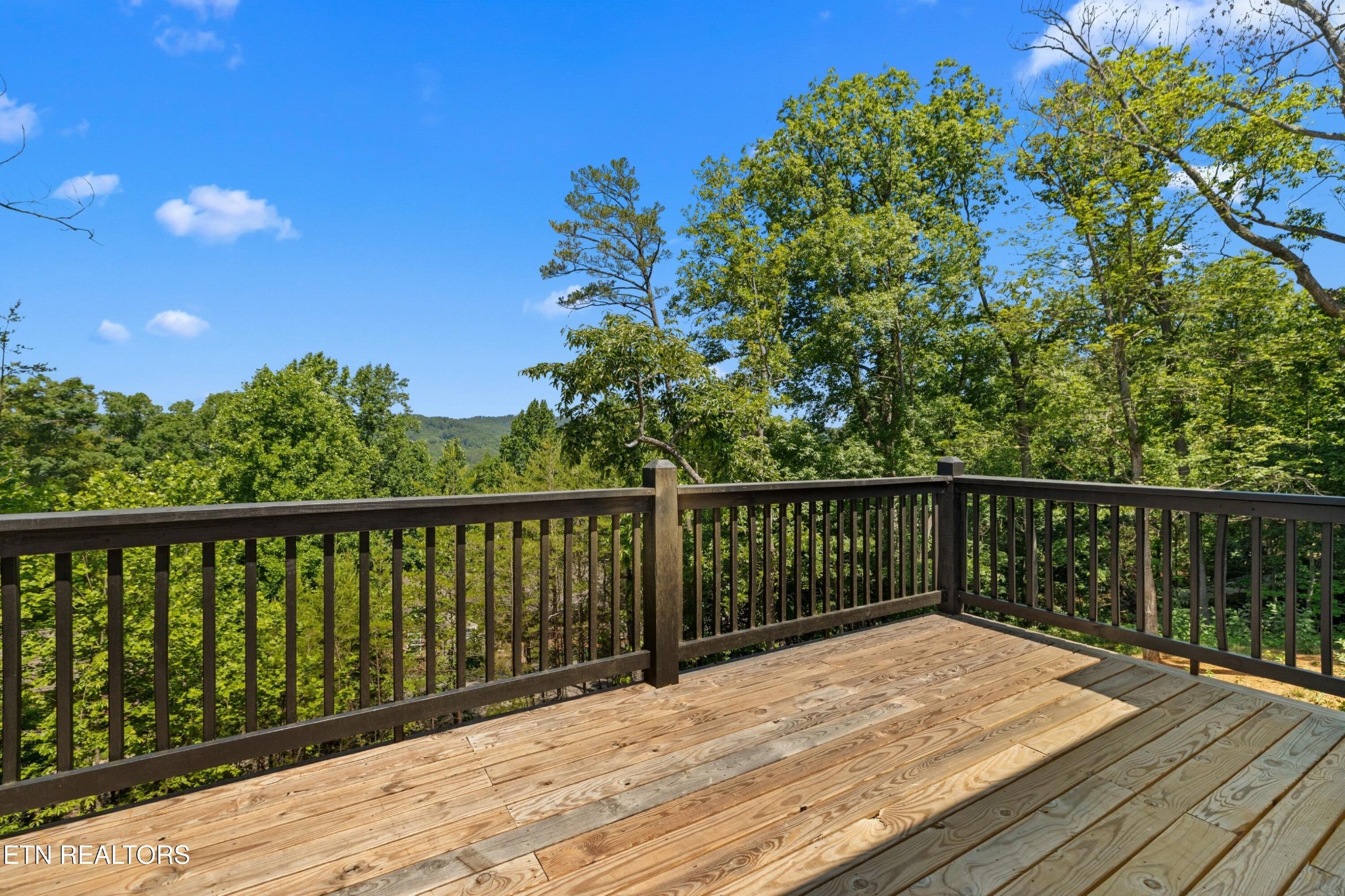 850 Trinity View Circle Seymour, TN 37865 - Photo 14 of 37