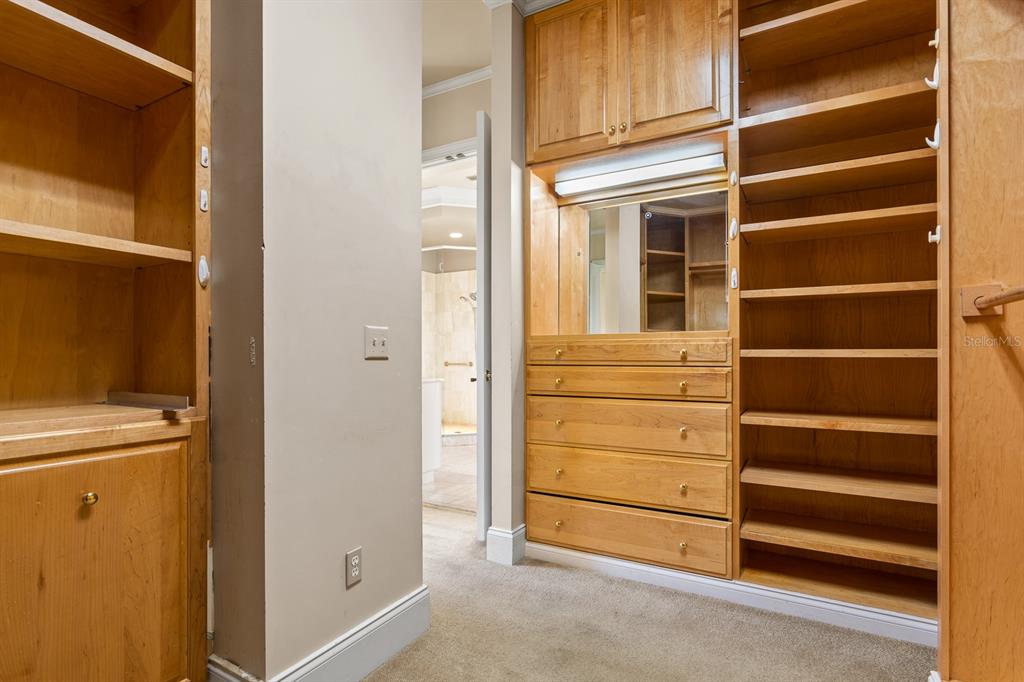1029 Royal Pass Road Tampa, FL 33602 - Photo 37 of 68 a view of walk in closet with empty racks