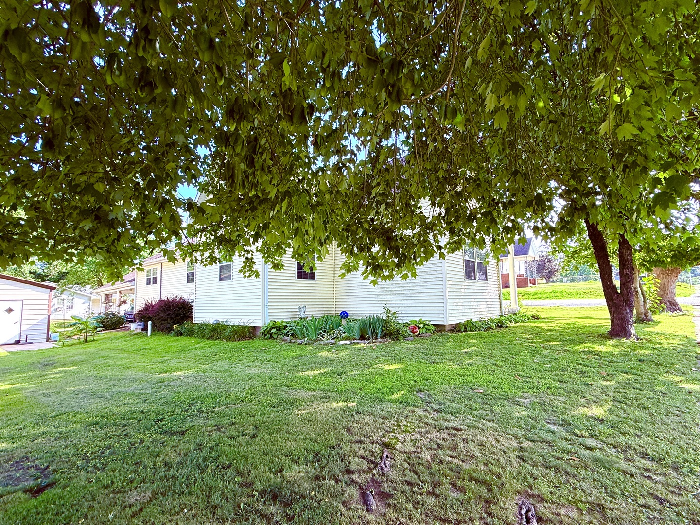 601 Ohio Street Grand Chain, IL 62941 - Photo 28 of 31 a view of a house with a yard