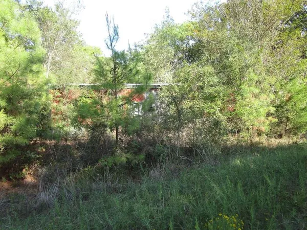 $29,099 | 228 Kelly Drive, Trinity, TX 75862
