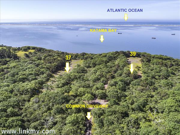 39 Jeremiah Road Edgartown, MA 02539 - Photo 5 of 11