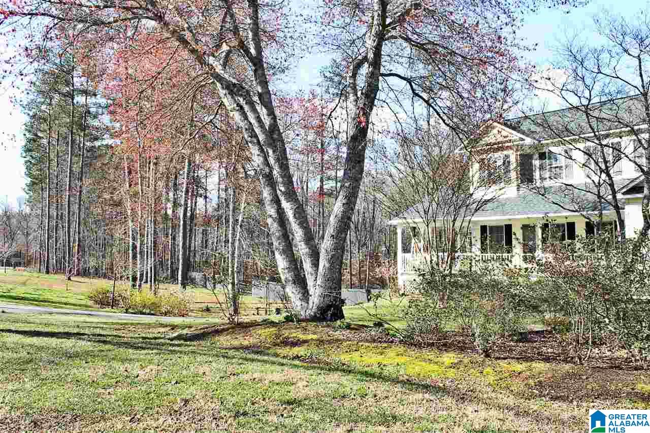 100 Amy Lane Heflin, AL 36264 - Photo 22 of 41