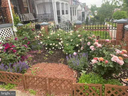 $824,900 | 4900 1st Street Northwest, Washington, DC 20011