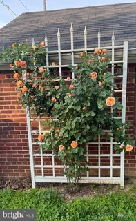 $824,900 | 4900 1st Street Northwest, Washington, DC 20011