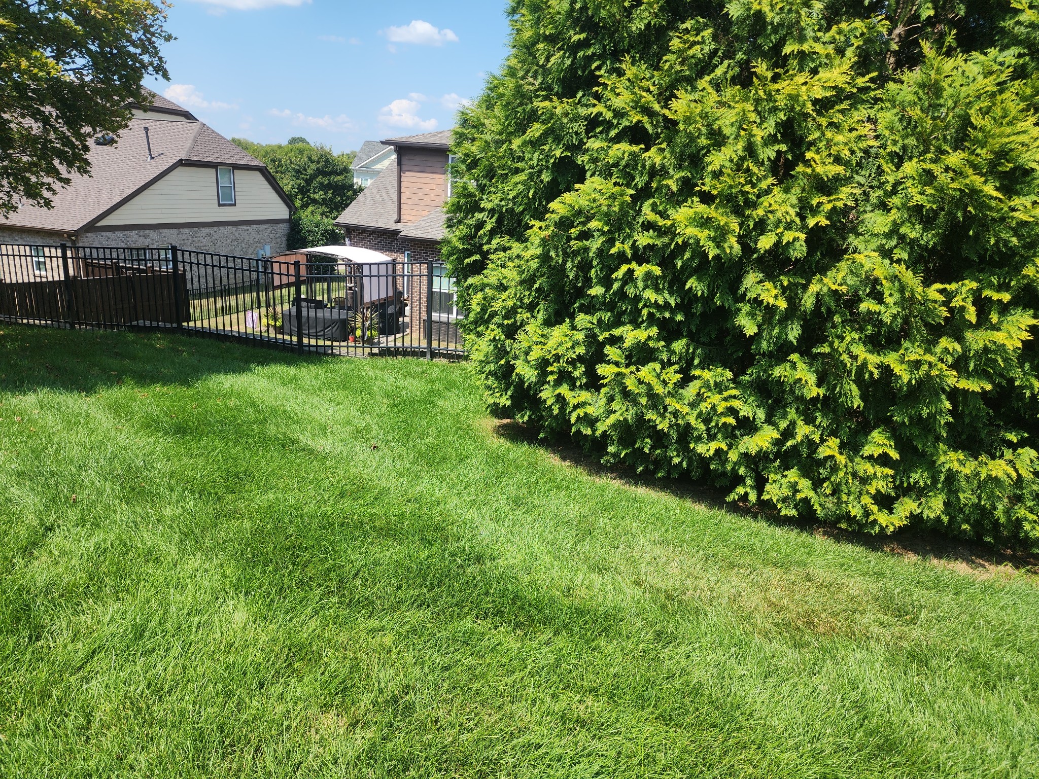 379 Alfred Ladd Road East Franklin, TN 37064 - Photo 81 of 85 Gallery Image 81