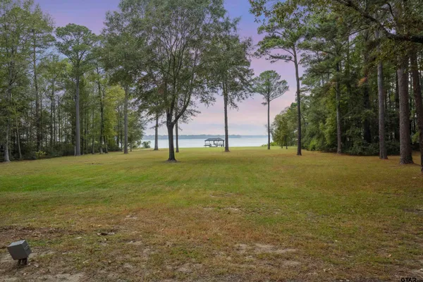 a view of a field with trees