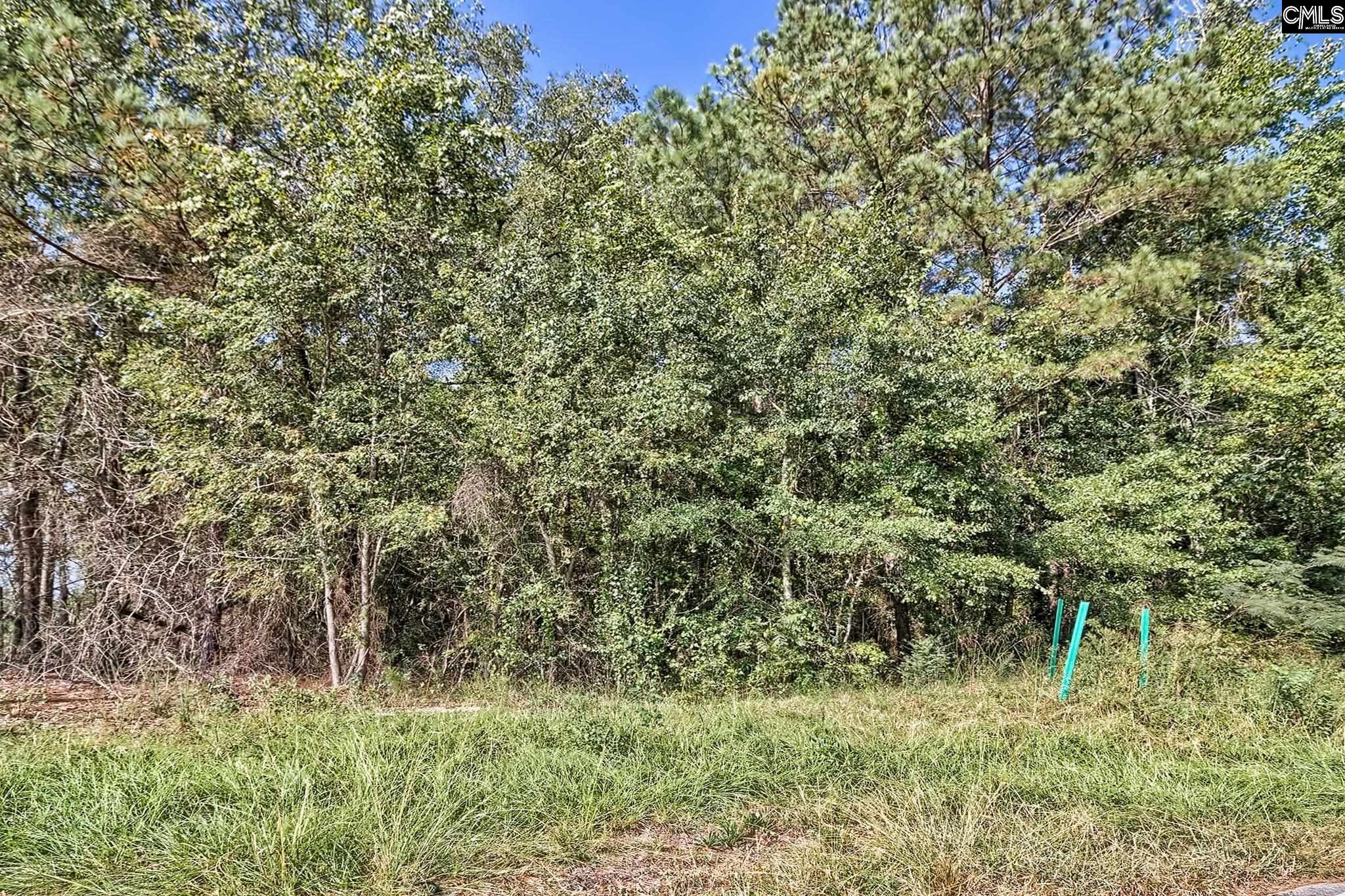 0 Sumpter Road Hopkins, SC 29061 - Photo 6 of 10 Gallery Image 6