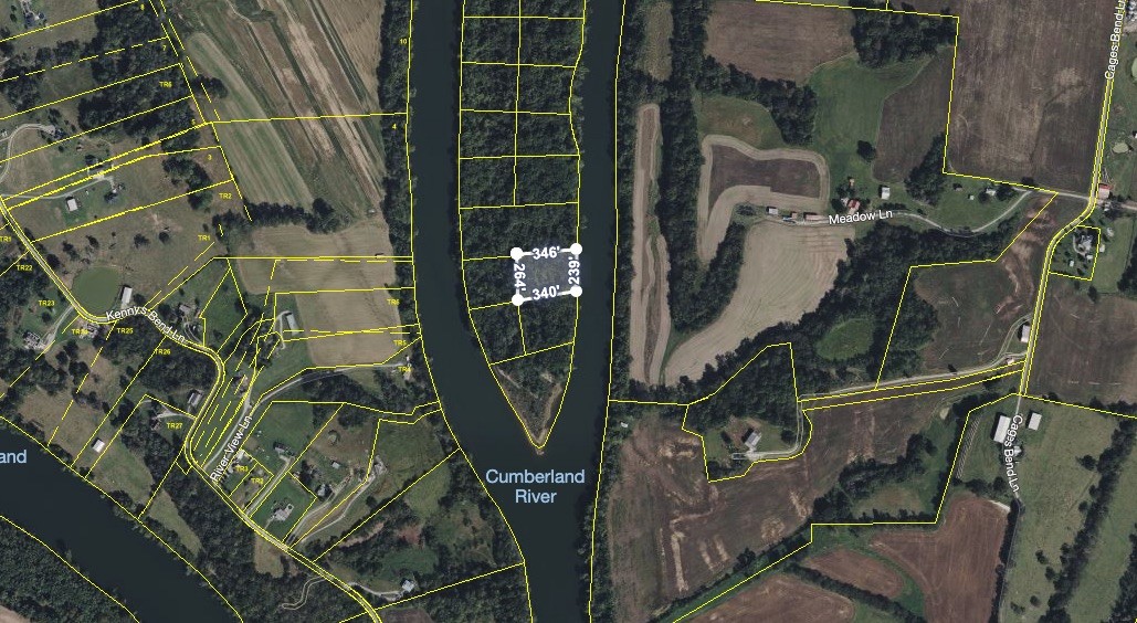 0 Lovells Island Riddleton, TN 37151 - Photo 3 of 15