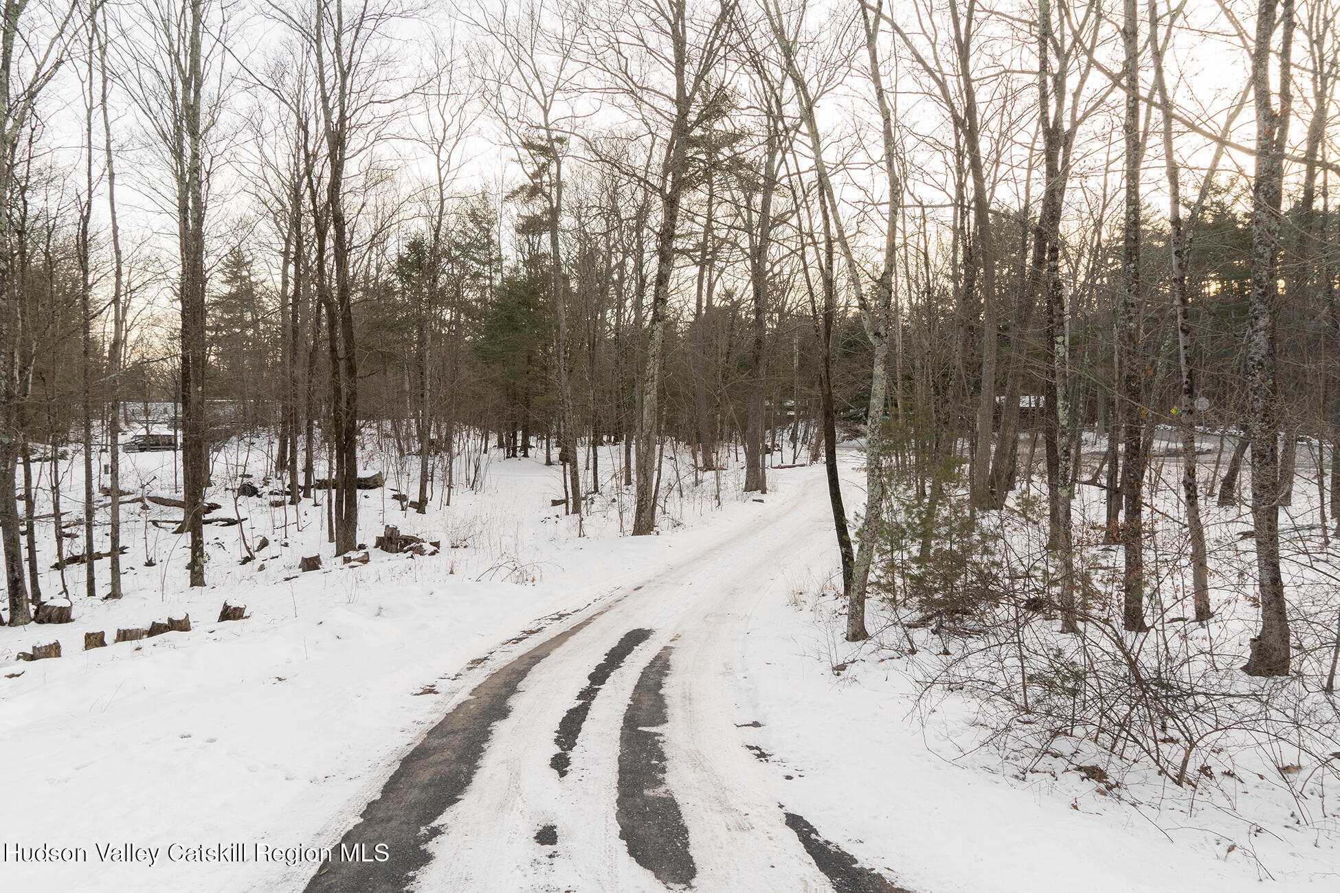 6586 Highway 32 Cairo, NY 12482 - Photo 18 of 18 DSC06137