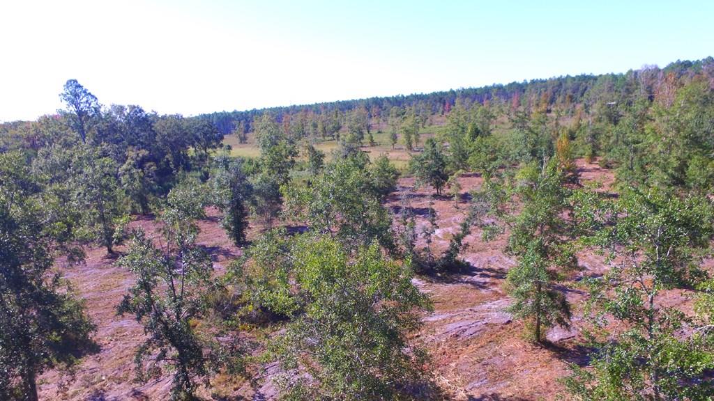 925 Hickory Hammock Road Carrabelle, FL 32322 - Photo 1 of 25 Gallery Image 1