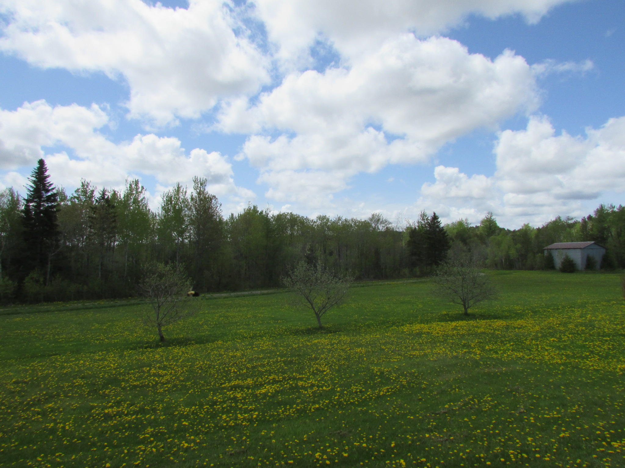 708 Ludlow Road Houlton, ME 04730 - Photo 17 of 21 IMG_0381
