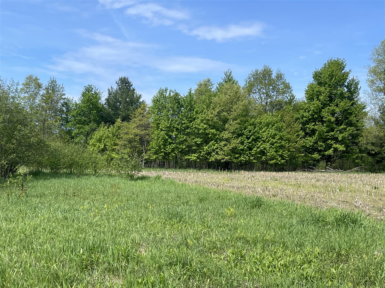 4514 22 Mile Road Northeast, Unit PARCEL 1 Sand Lake, MI 49343 - Photo 6 of 17
