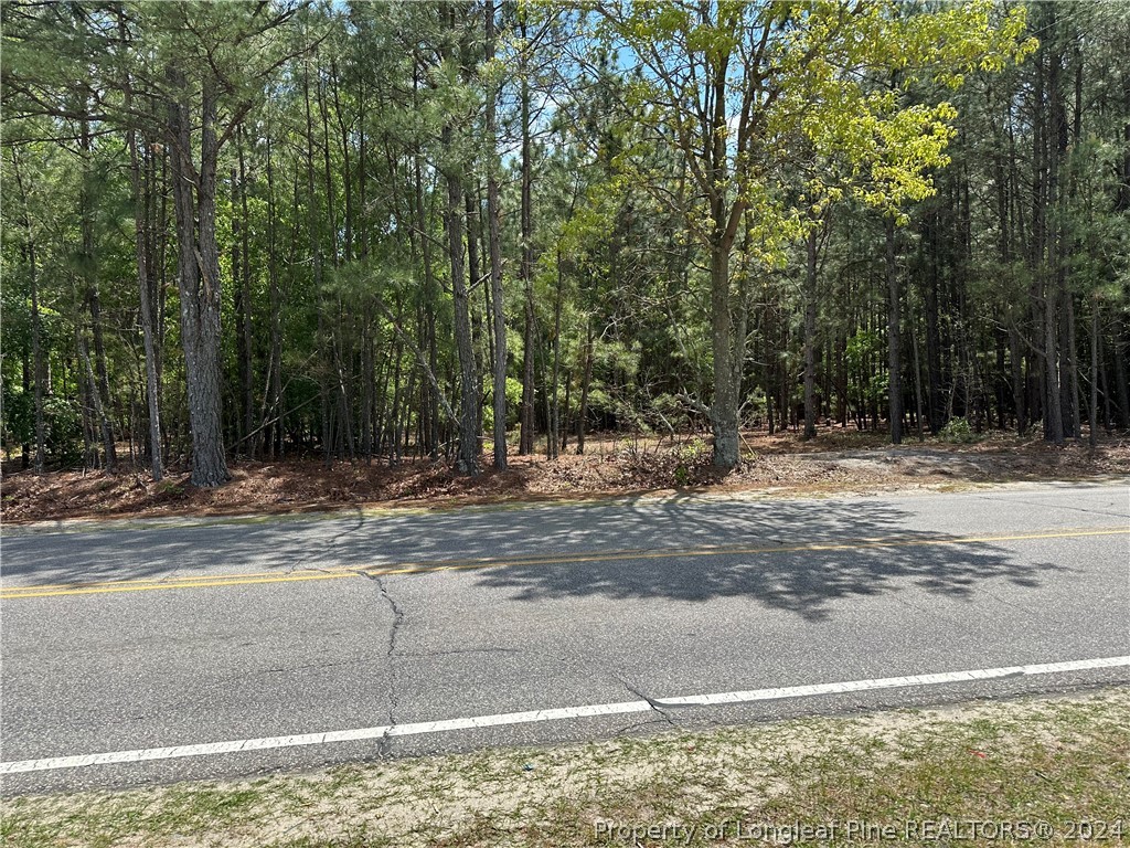 0 King Road Fayetteville, NC 28306 - Photo 3 of 6 Gallery Image 3
