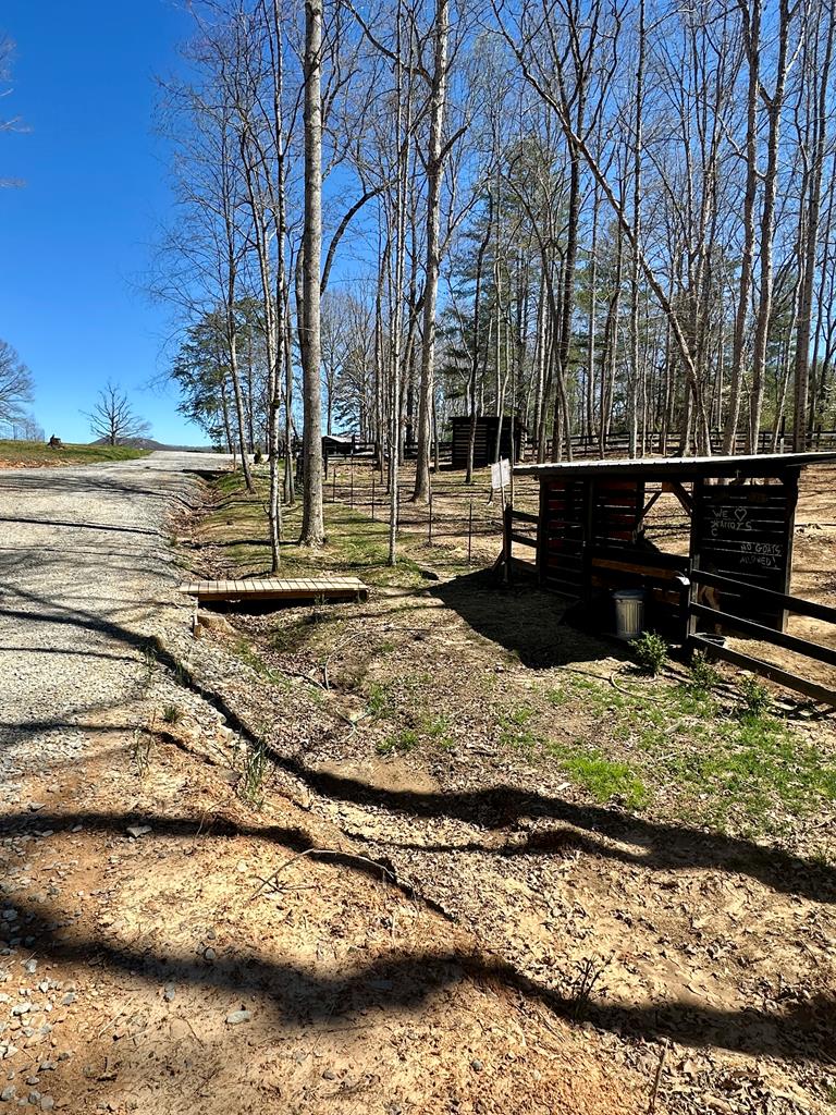 554 Tipton Springs Road Morganton, GA 30560 - Photo 56 of 74