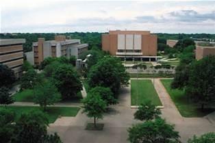 2105 Southpointe Crossing Mansfield, TX 76063 - Photo 8 of 13 a view of a yard in front of a house