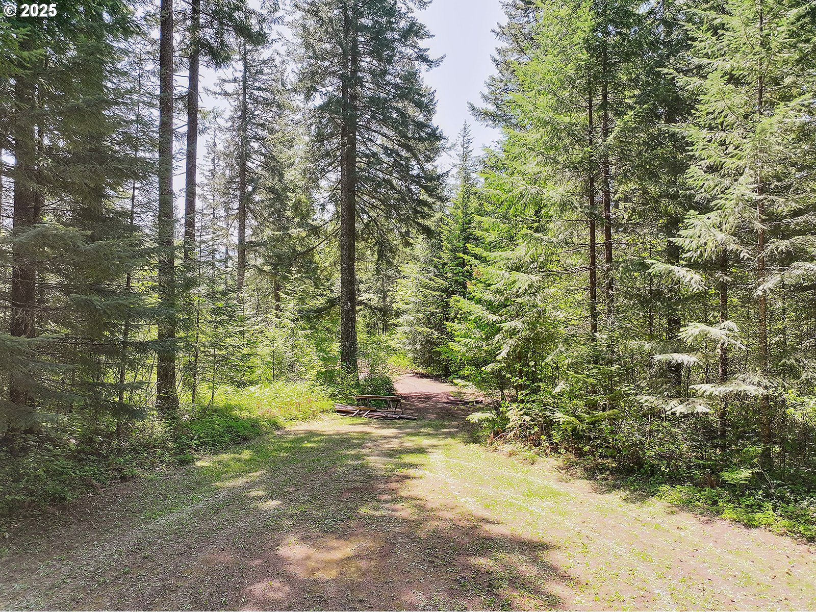 2962 Berge Road Stevenson, WA 98648 - Photo 47 of 48 Gallery Image 47