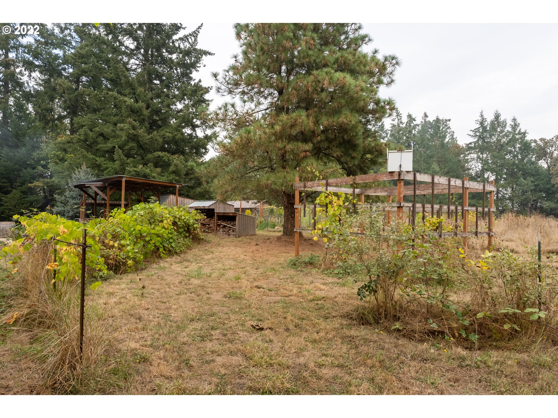 9910 Southeast Wallace Road Dayton, OR 97114 - Photo 7 of 32 Gallery Image 7